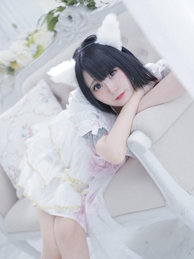 ねこ先輩☆新人イメージ画像③サムネイル